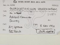 登錄號:F0003183藏品圖，第2張