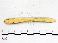 登錄號:F0003183藏品圖，第3張