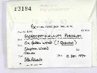 登錄號:F0003184藏品圖，第2張