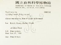 登錄號:F0003185藏品圖，第2張