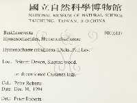 登錄號:F0003187藏品圖，第2張