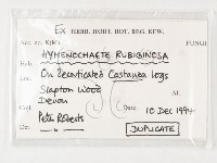 登錄號:F0003187藏品圖，第3張