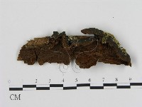 登錄號:F0003187藏品圖，第1張