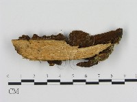 登錄號:F0003187藏品圖，第4張