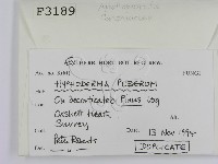 登錄號:F0003189藏品圖，第2張