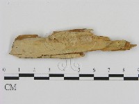 登錄號:F0003189藏品圖，第1張