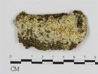 登錄號:F0003190藏品圖，第1張