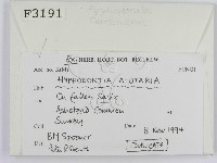 登錄號:F0003191藏品圖，第2張