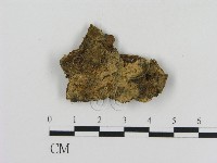 登錄號:F0003193藏品圖，第1張