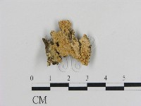 登錄號:F0003194藏品圖，第1張