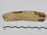 登錄號:F0003195藏品圖，第1張