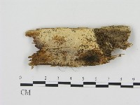 登錄號:F0003197藏品圖，第1張