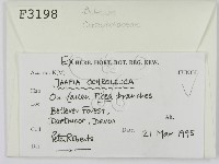 登錄號:F0003198藏品圖，第2張