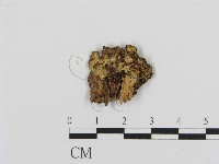 登錄號:F0003198藏品圖，第1張