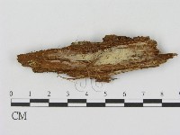 登錄號:F0003200藏品圖，第1張