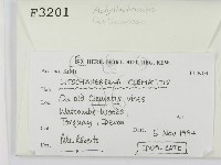 登錄號:F0003201藏品圖，第2張