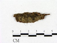 登錄號:F0003202藏品圖，第1張