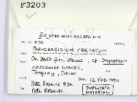登錄號:F0003203藏品圖，第2張