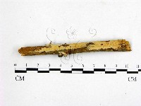 登錄號:F0003204藏品圖，第1張