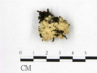 登錄號:F0003205藏品圖，第1張