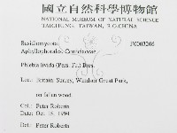 登錄號:F0003206藏品圖，第3張