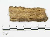 登錄號:F0003206藏品圖，第4張