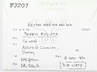 登錄號:F0003207藏品圖，第2張