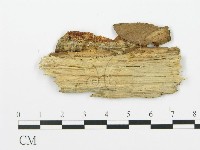 登錄號:F0003207藏品圖，第4張