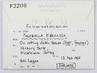 登錄號:F0003208藏品圖，第2張