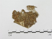 登錄號:F0003208藏品圖，第3張