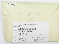 登錄號:F0003209藏品圖，第2張