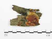 登錄號:F0003209藏品圖，第1張