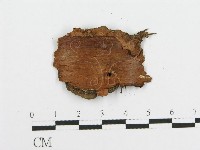 登錄號:F0003210藏品圖，第3張