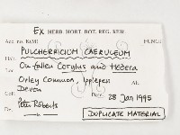 登錄號:F0003212藏品圖，第3張