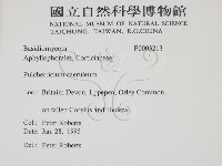 登錄號:F0003213藏品圖，第2張