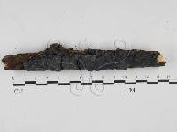 登錄號:F0003213藏品圖，第1張