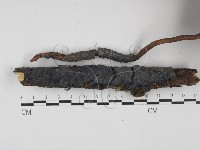 登錄號:F0003213藏品圖，第3張