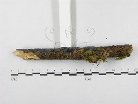 登錄號:F0003213藏品圖，第4張