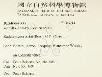 登錄號:F0003214藏品圖，第2張