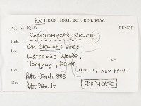 登錄號:F0003214藏品圖，第3張