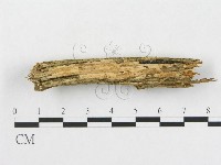 登錄號:F0003214藏品圖，第1張