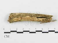 登錄號:F0003214藏品圖，第4張