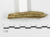 登錄號:F0003214藏品圖，第5張