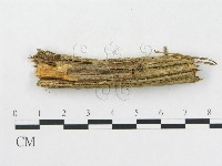 登錄號:F0003214藏品圖，第6張