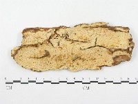 登錄號:F0003215藏品圖，第1張
