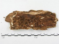登錄號:F0003215藏品圖，第3張