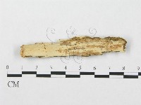 登錄號:F0003216藏品圖，第1張