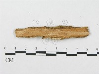 登錄號:F0003216藏品圖，第3張