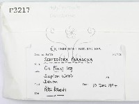 登錄號:F0003217藏品圖，第2張