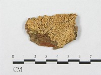 登錄號:F0003217藏品圖，第1張